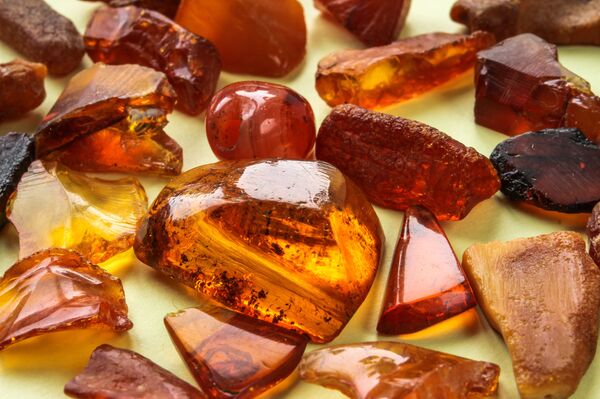 الكهرمان - سبوتنيك عربي