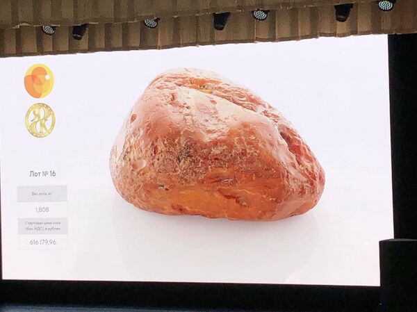 أغلى قطع الكهرمان تباع في مزاد علني - سبوتنيك عربي