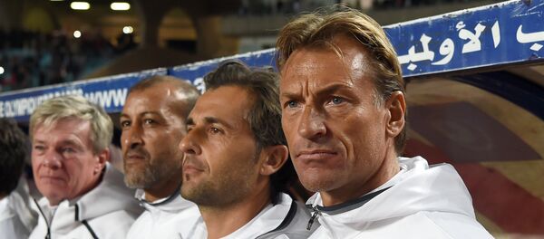 إيرفي رينار - سبوتنيك عربي