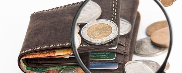 محفظة نقود - سبوتنيك عربي