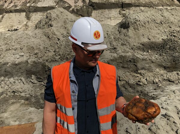 كبير المهندسين في المقلع ألكسندر سميرنوف - سبوتنيك عربي