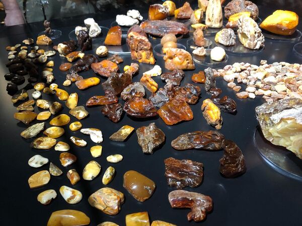 متحف الكهرمان في كالينينغراد - سبوتنيك عربي