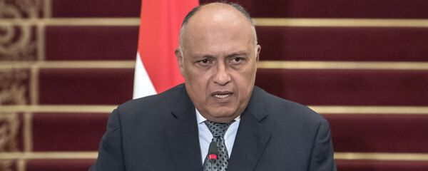 وزير الخارجية المصري سامح شكري، 5 مارس/ آذار 2019 - سبوتنيك عربي