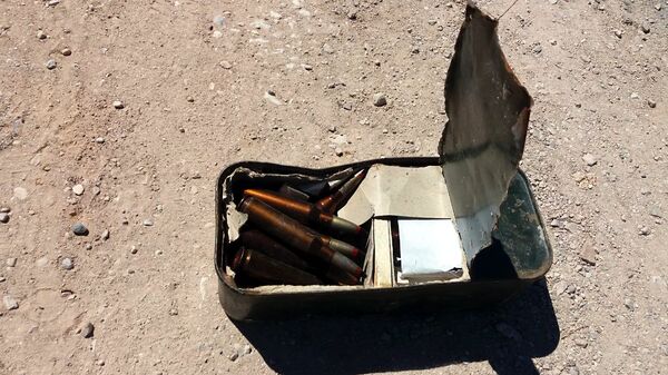 الأمن السوري يضبط أسلحة وذخائر في الجولان - سبوتنيك عربي