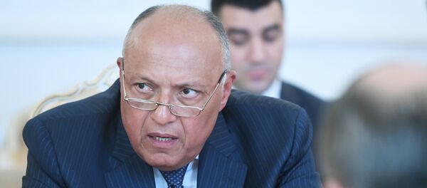 سامح شكري - سبوتنيك عربي