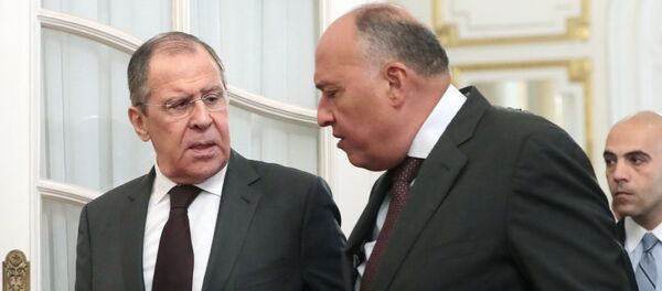 وزير الخارجية الروسي سيرغي لافروف مع وزير الخارجية المصري سامح شكري  - سبوتنيك عربي