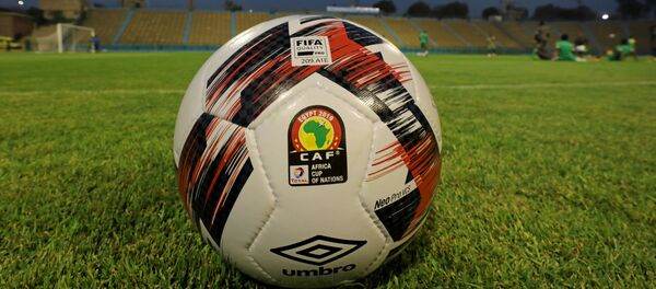 أحد ملاعب منافسات أمم أفريقيا 2019 في مصر - سبوتنيك عربي