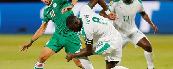 الجزائر والسنغال - سبوتنيك عربي