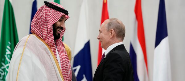 الرئيس الروسي فلاديمير بوتين مع ولي العهد السعودي الملك محمد بن سلام خلال قمة العشرين - سبوتنيك عربي