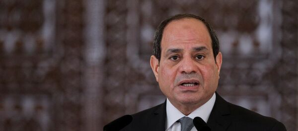 الرئيس المصري عبد الفتاح السيسي - سبوتنيك عربي