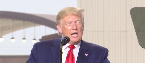 الرئيس الأمريكي دونالد ترامب - سبوتنيك عربي