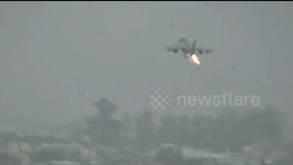 طائر يجبر مقاتلة حربية على رمي حمولتها من القنابل وخزان الوقود  - سبوتنيك عربي