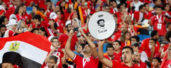 جماهير منتخب مصر - سبوتنيك عربي