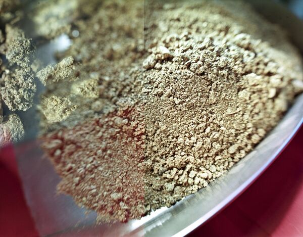 استخراج الذهب - سبوتنيك عربي