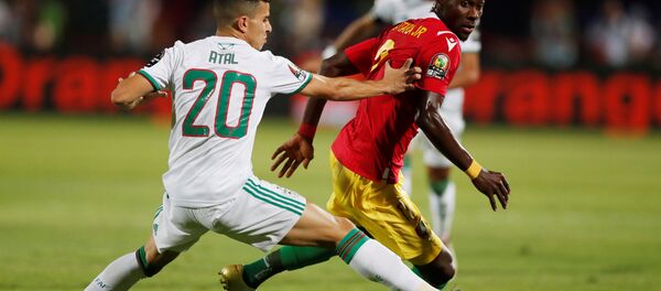 الجزائر وغينيا في أمم أفريقيا - سبوتنيك عربي