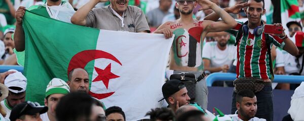 جماهير منتخب الجزائر في مباراة الجزائر وكوت ديفوار - سبوتنيك عربي