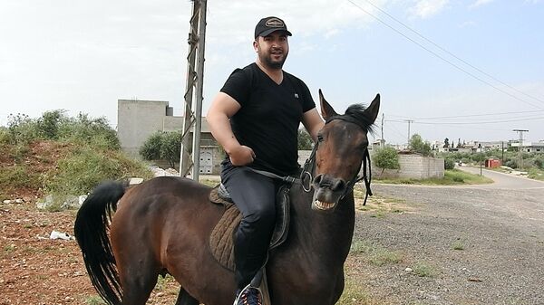 بالفيديو والصور... تربية الخيول السورية الأصيلة تنشط مجددا - سبوتنيك عربي