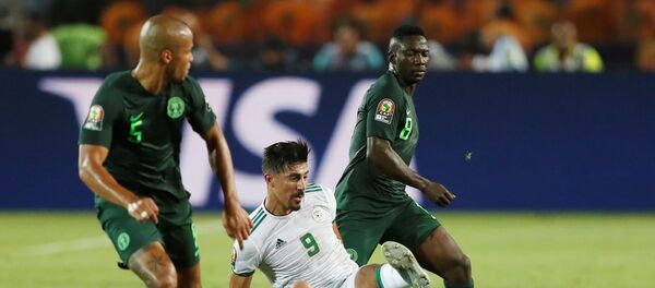 مباراة الجزائر ونيجيريا في أمم أفريقيا 2019 - سبوتنيك عربي