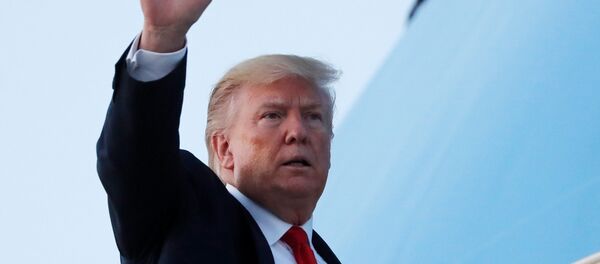 الرئيس الأمريكي دونالد ترامب - سبوتنيك عربي
