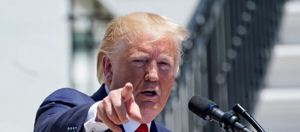 الرئيس الأمريكي دونالد ترامب - سبوتنيك عربي