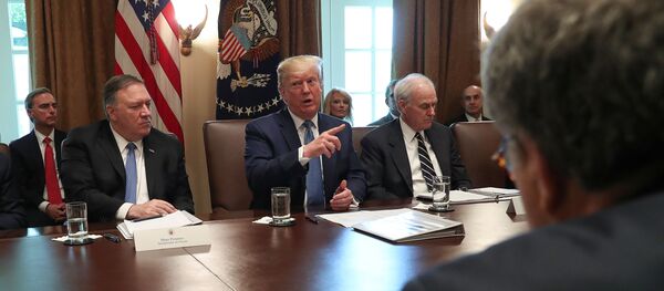 الرئيس الأمريكي دونالد ترامب يتحدث خلال اجتماع لمجلس الوزراء في البيت الأبيض - سبوتنيك عربي