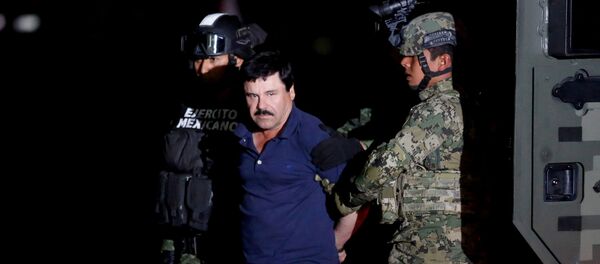 خواكين جوزمان المعروف بلقب إل تشابو - سبوتنيك عربي