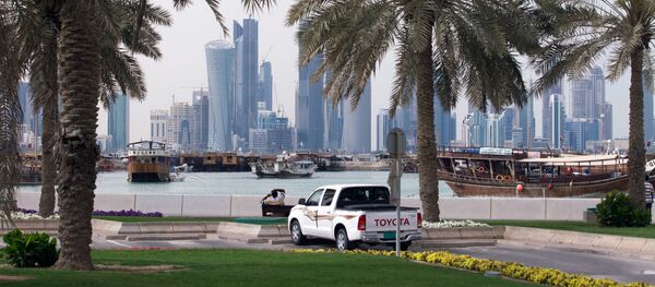 شجر النخيل في الدوحة - سبوتنيك عربي