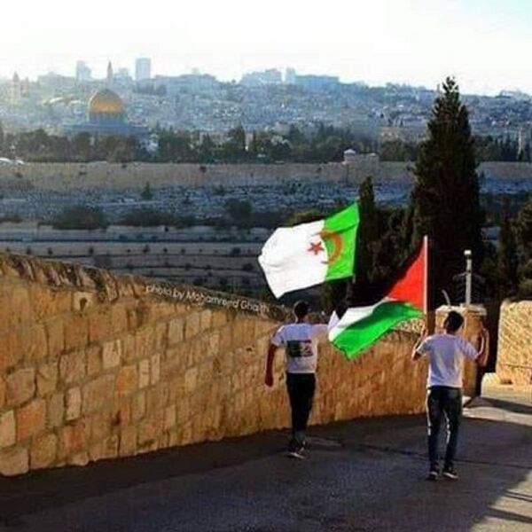 مبارك للجزائر توأم فلسطين - سبوتنيك عربي
