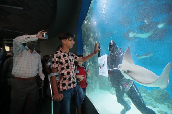 بطل الرغبة في الحياة يزور متحف الأحياء المائية في موسكو بطل الرغبة في الحياة يزور متحف الأحياء المائية في موسكو - سبوتنيك عربي