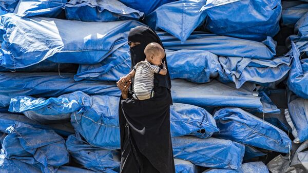 امرأة تحمل طفلاً في مخيم الهول للنازحين في الحسكة، شمال شرق سوريا 22 يوليو/ تموز 2019 - سبوتنيك عربي