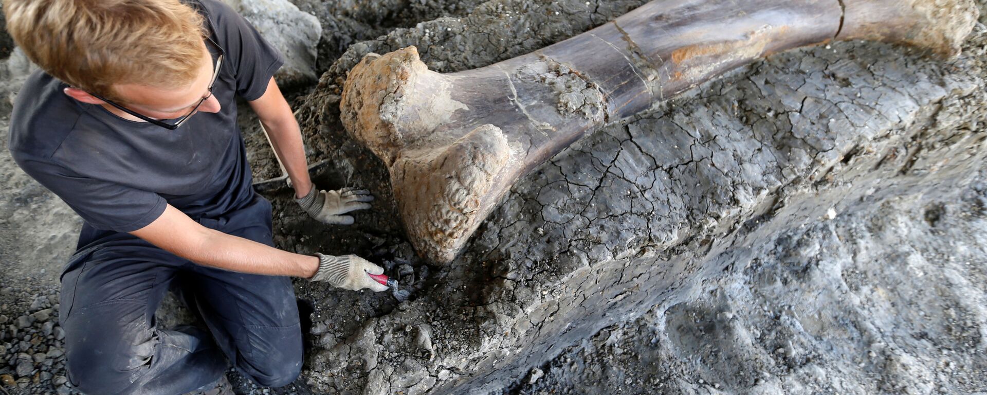  عظمة ديناصور عملاق في موقع تنقيب بجنوب غرب فرنسا - سبوتنيك عربي, 1920, 14.12.2021