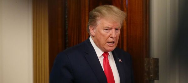 الرئيس الأمريكي دونالد ترامب - سبوتنيك عربي