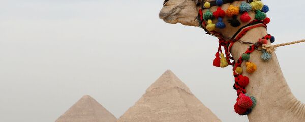 الأهرامات في مصر  - سبوتنيك عربي