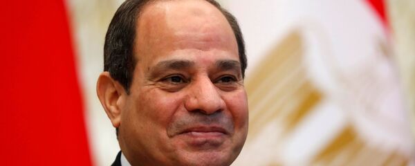 الرئيس المصري عبد الفتاح السيسي - سبوتنيك عربي