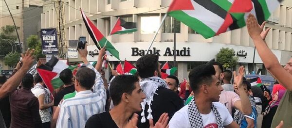 تظاهرة لبانية فلسطينية في صيدا، لبنان 30 يوليو/ تموز 2019 - سبوتنيك عربي