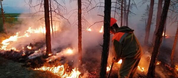 موظفو وزارة حماية الطبيعة في ياقوتيا يطفئون حرائق الغابات في ياقوتيا،  حرائق غابات - سبوتنيك عربي