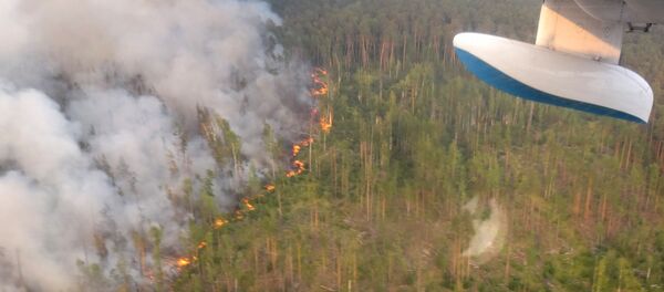 انتشار حرائق الغابات في حي بوغوتشانسك، منطقة كراسنويارسكي كراي، حرائق غابات انتشار حرائق الغابات في حي بوغوتشانسك، منطقة كراسنويارسكي كراي، حرائق غابات - سبوتنيك عربي