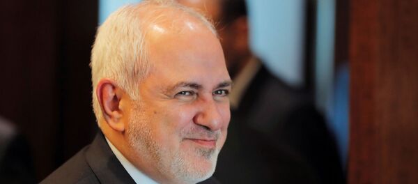 وزير الخارجية الإيرانية محمد جودا ظريف، 18 يوليو/ تموز 2019 - سبوتنيك عربي