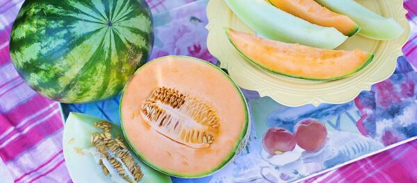 الشمام - سبوتنيك عربي