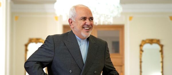 وزير الخارجية الإيراني محمد جواد ظريف - سبوتنيك عربي