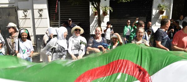 مظاهرات الجزائر - سبوتنيك عربي