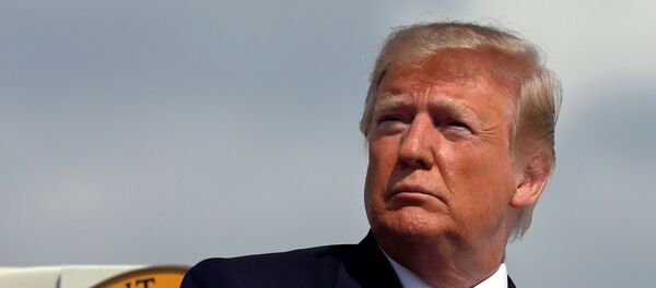 الرئيس الأمريكي دونالد ترامب - سبوتنيك عربي