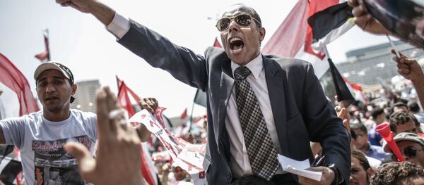 معارضو الرئيس محمد مرسي في ميدان التحرير، عام 2013 - سبوتنيك عربي