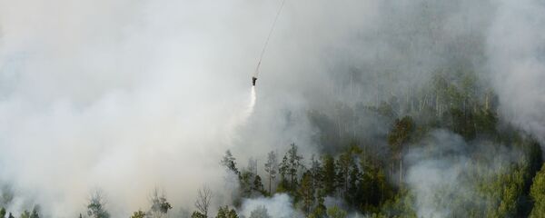 حرائق غابات سيبيريا في روسيا حرائق غابات سيبيريا في روسيا - سبوتنيك عربي