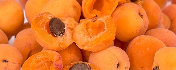 مشمش - سبوتنيك عربي