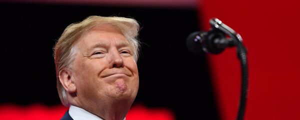 الرئيس الأمريكي دونالد ترامب - سبوتنيك عربي