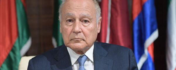 الجامعة العربية - سبوتنيك عربي