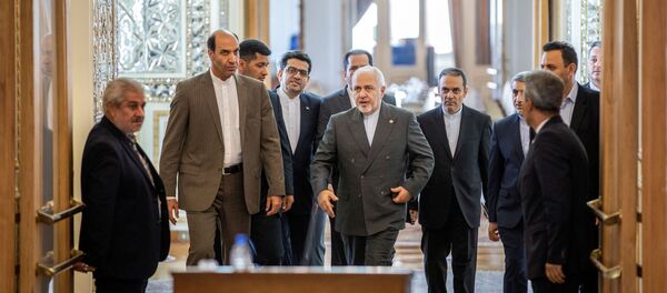 وزير الخارجية الإيراني محمد جواد ظريف - سبوتنيك عربي