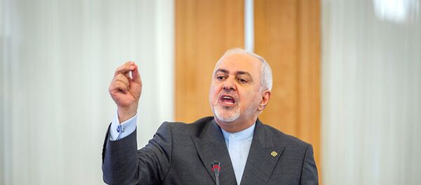 وزير الخارجية الإيراني محمد جواد ظريف - سبوتنيك عربي