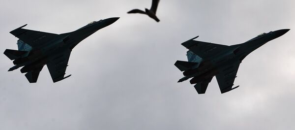 طائرات وطائر - سبوتنيك عربي